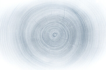Light gray blue monotone impression of end grain of wood slab. Tree rings art with texture and smooth surface.
