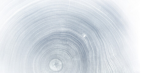 Light gray blue monotone impression of end grain of wood slab. Tree rings art with texture and smooth surface. 