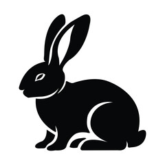 Fototapeta premium vector illustration of a bunny