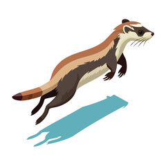 Obraz premium Ferret jump Adobe Illustrator Artworkisometric vector illustration with clean geometry and modern design