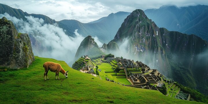 A mystical scene of Machu Picchu covered in morning mist, with llamas grazing nearby - Powered by Adobe
