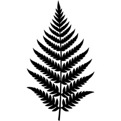 Naklejka premium Fern frond black silhouette illustration vector
