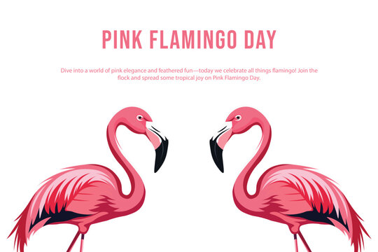 Join us for a dazzling day of flamingo facts crafts and tropical flair as we honor the iconic pink bird in style