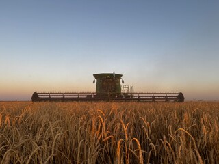 campo argentino, agrícultura y cultivos