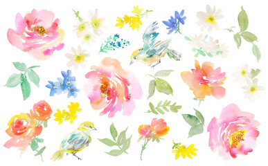 Watercolor Abstract Pink Peonies, blue birds, Wildflowers, and Leaves PNG clipart Set / Hand-Painted Floral Background illustration collection for Spring and summer with transparent background.