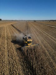 Naklejka premium campo argentino, agrícultura y cultivos