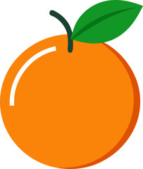 orange fruit vector illustration