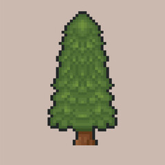 spruce tree in pixel art style with isolated background