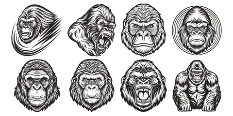 Fototapeta premium Various detailed monochrome gorilla faces and forms for graphic use