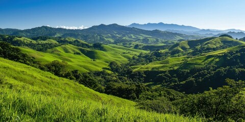 Fototapeta premium A lush green mountainside with rolling pastures stretching under a clear sky