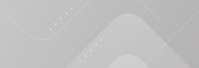 Abstract white background. luxury background. vector