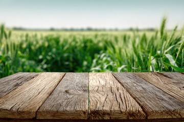 Rustic wooden planks foreground a blurred, sunlit green field, suggesting natural abundance and rural tranquility