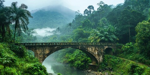 A misty rainforest valley with an old stone bridge connecting both sides of the river