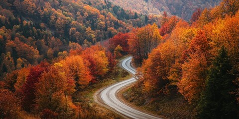 Naklejka premium A mountain road winding through a valley filled with trees in deep autumn hues
