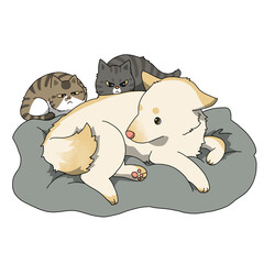 犬と猫　犬　猫　イヌ　ネコ