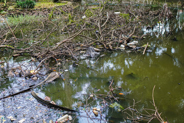 A polluted waterway choked with branches and assorted litter reflects a somber view. An artistic yet realistic depiction of environmental challenges and ecological damage in nature.