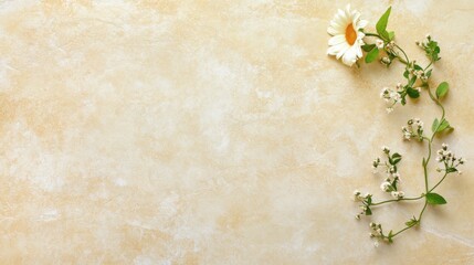 Colorful Mixed Flower Bouquet on Bright Background
