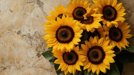 Fresh sunflowers tightly arranged in the right corner of a light golden background