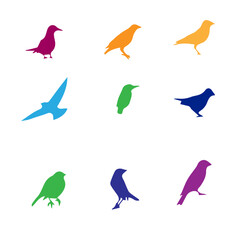 birds colour shades vector 2