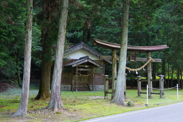 リラックス鳥居