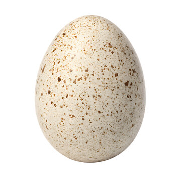 Ancient dinosaur egg replica from Mesozoic era isolated on a transparent background