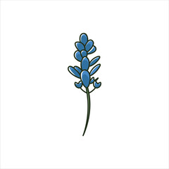 Blue bonnet Flower Colored Illustration