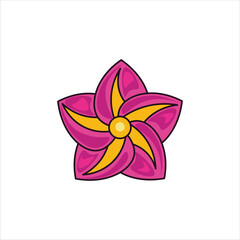 Frangipani Flower Colored  Illustration