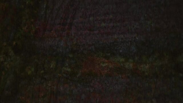 Bragan, County Monaghan, Ireland, September 2022. Drone top shot tracking across tire tracks in bog wetland grasses under dark dusk light, natural backdrop background.