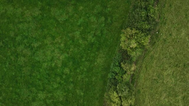 Old Donagh Graveyard, County Monaghan, Ireland, September 2022. Drone top down tracking along hedge edge over tree top canopy with tomb and headstones appearing in clearing area.