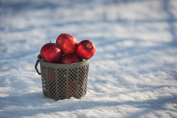 A basket full of apples in the snow