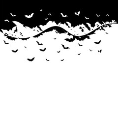 Fototapeta premium Halloween Bat Header Illustration
