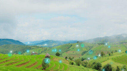 Fototapete bei efototapeten.de bestellen   