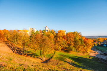 Naklejka premium Ruins of medieval Tenczyn castle in Rudno near Krakow in Poland.