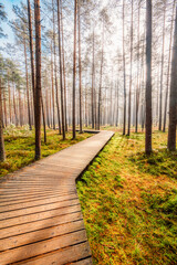 A wooden walking misty path in Bor na Czerwonem nature reserve in Nowy Targ in Poland