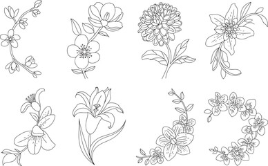 Elegant line art floral elements with various botanical illustrations for creative designs