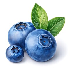 Obraz premium Fresh Blueberry Fruits with White Background