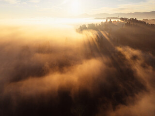Fototapeta premium Sunset over Liptov region with and High Tatras mountains around. Misty view of tree tops with the rays of morning light.