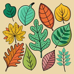 Vibrant Autumn Leaves. A Colorful Collection of Fall Foliage Illustrations