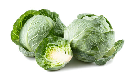 Fototapeta premium cabbage isolated on white background