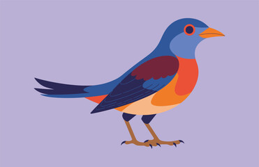 Fototapeta premium Beautiful nightingale bird vector art illustration