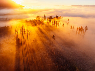 Sunset over Liptov region with and High Tatras mountains around. Misty view of tree tops with the rays of morning light.