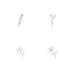Minimalist line drawing collection of elegant flowers and botanical elements for design