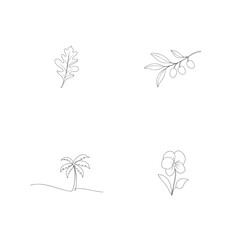 Four simple black line art botanical elements oak leaf olive branch palm tree and flower design