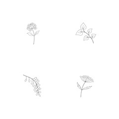 Hand drawn botanical floral elements set with delicate outlines in minimalist style design
