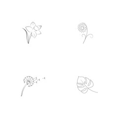 Minimalist line art illustrations of different flowers and botanical leaves isolated on white