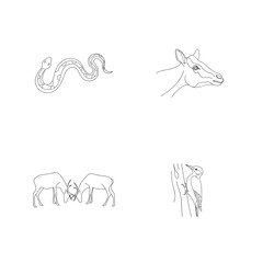 Outlined illustrations of animals including a snake deer and a woodpecker on white background