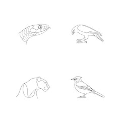 Obraz premium Minimalist line art illustrations of a snake hawk puma and bird isolated on white