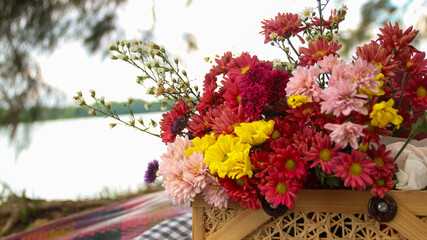 one basket of red, pink, yellow and purple daisies nature background. Asters are a genus of...