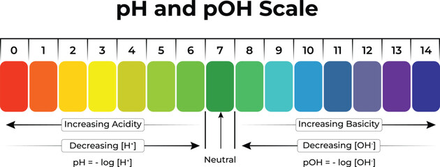 pH and pOH Scale Visual Guide to Acidity and Basicity