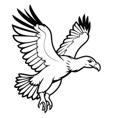 Fototapeta premium Bald eagle in flight against a plain white background. Powerful soaring bird in mid-air with outstretched wings.